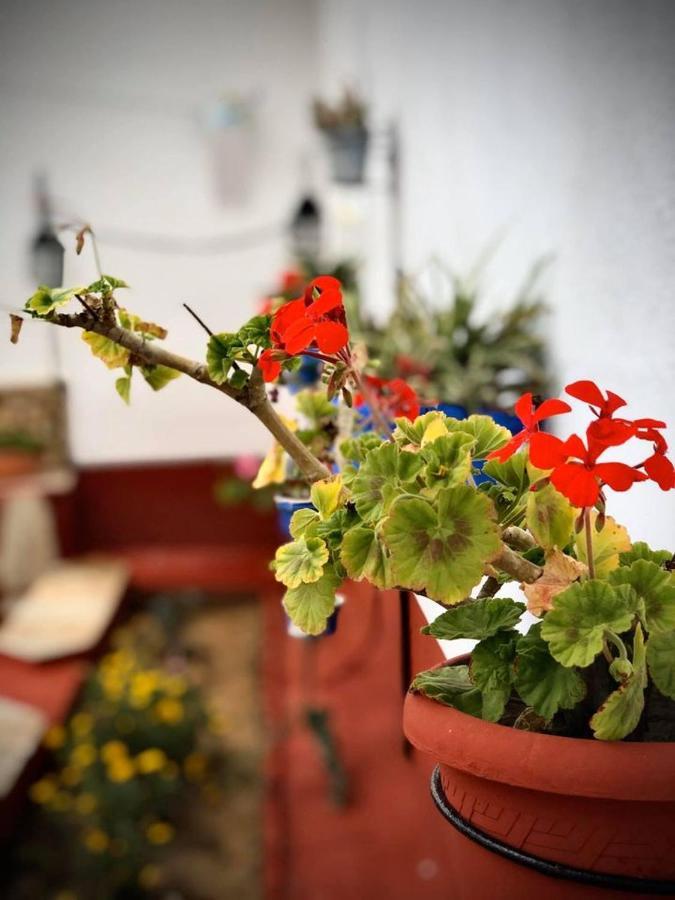 Gasthaus La Jara Casa Rural Hinojosa del Duque Exterior foto